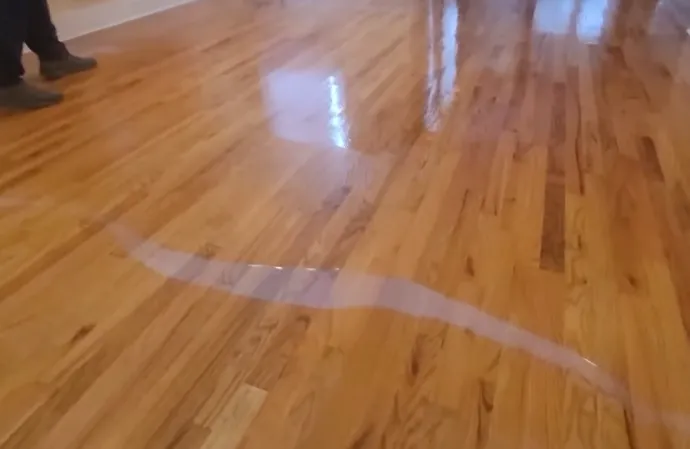 Things to Do to Solve Floor Finish Gum up Issue When Sanding